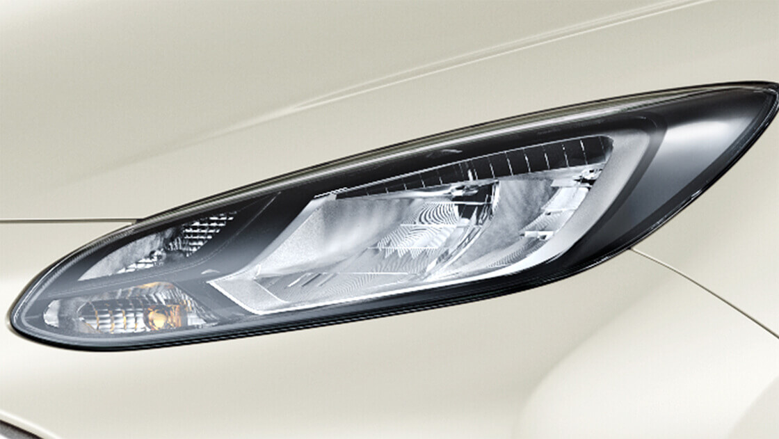 Head Lamp